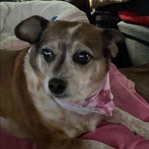 Meet your Posher, Robyn